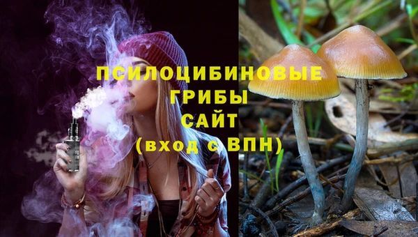 Альфа ПВП Нефтегорск
