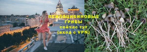 шишки Новодвинск