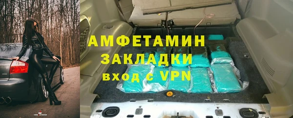 шишки Новодвинск