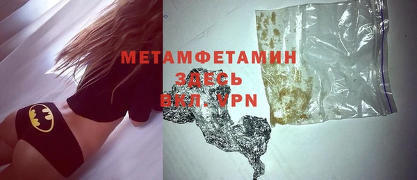 шишки Новодвинск