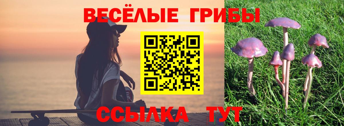 Галлюциногенные грибы прущие грибы  Галлюциногенные грибы Psilocybe  Павловский Посад  Вход с VPN 